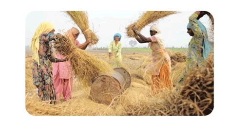 Image result for Class 8 Science Chapter 1 Notes