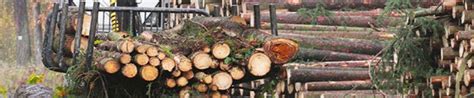 Image result for Tree Logging Service