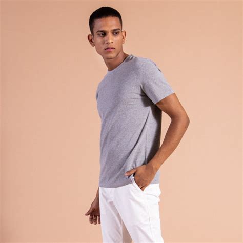 Timber Wolf Light Grey Round Neck T-shirt – Minizmo