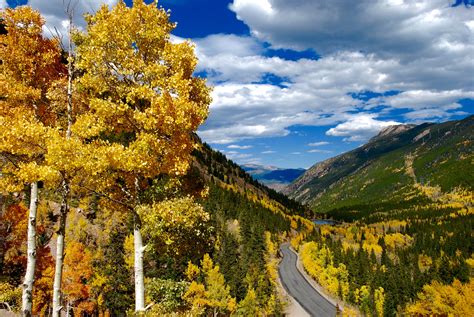 Colorado Fall Foliage