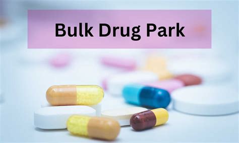 Himachal Pradesh gets first installment of Rs 225 crore for Bulk Drug Park