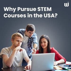 STEM Courses 的图像结果