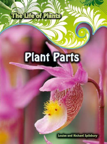 Plant Parts (The Life of Plants) : Spilsbury, Louise, Spilsbury ...