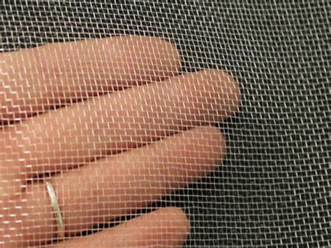 Image result for Insect Garden Screen