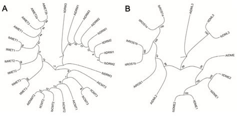 Genome-Wide Identification and Analysis of DNA Methyltransferase and ...