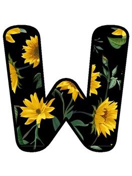 WHAT PLANTS NEED... Sunflower Bulletin Board Display school resource by ...