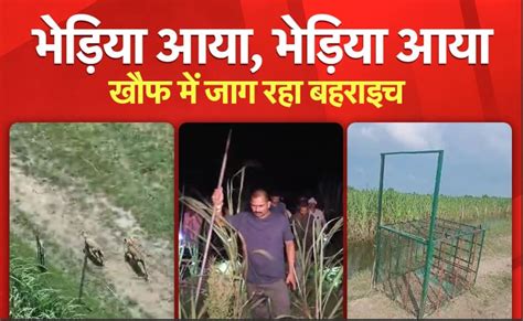 पकड़ा गया बहराइच का आदमखोर, कैसे छटपटा रहा; VIDEO में देखिए | Behraich ...