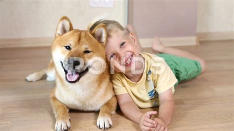 Laughing At Dog