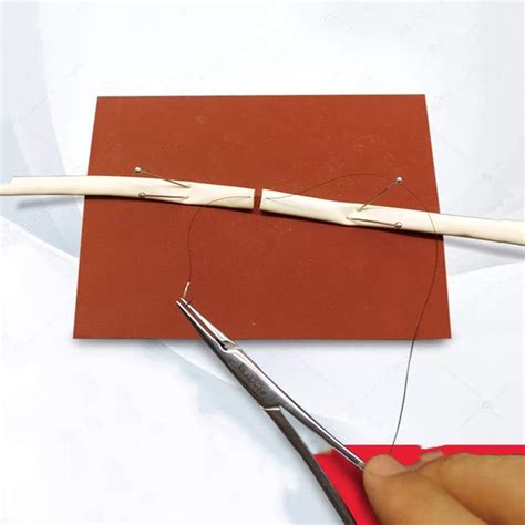 LMEIL Microscopy Surgical Vascular Anastomosis | Ubuy India