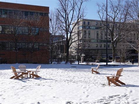 Society of the Snow Pinterest 的图像结果