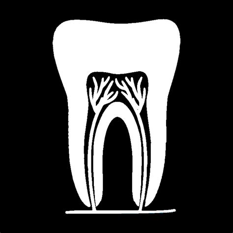 Best Dental Clinic in India | Apollo Dental