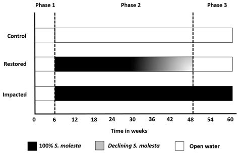 Biological Control of Salvinia molesta (D.S. Mitchell) Drives Aquatic ...