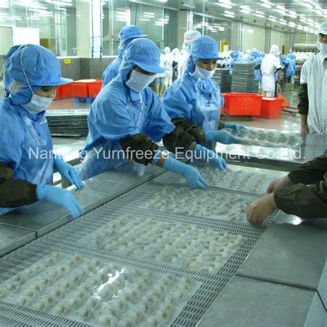 IQF Quick Freezing Spiral Freezer for Freezing Block Shrimp Full Processing Production Line ...