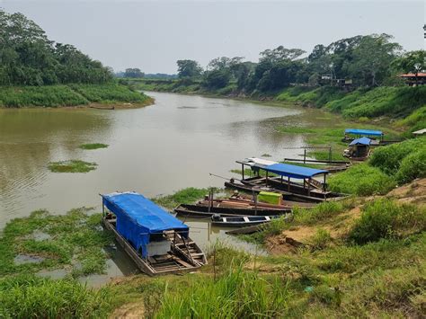 CHUCHINI Amazon Wildlife Reserve & Eco Lodge (Trinidad) - All You Need ...