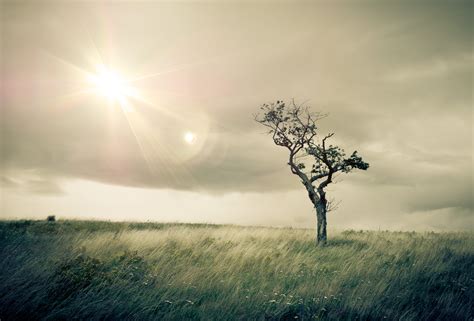 Lasting Recovery - Addiction Rehabilitation at Windward Way Recovery Center