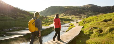 Image result for Bond Ladder Example