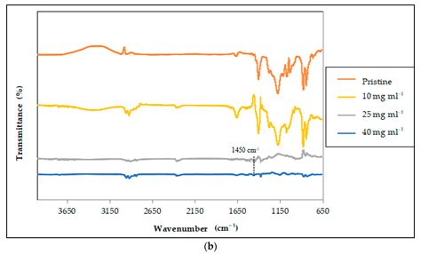 Non-Solvent Influence of Hydrophobic Polymeric Layer Deposition on PVDF ...