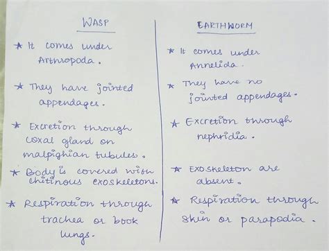 Similarities between a wasp and a earthworm - Brainly.in