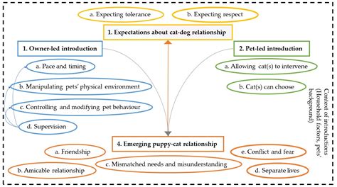 Introducing a Puppy to Existing Household Cat(s): Mixed Method Analysis