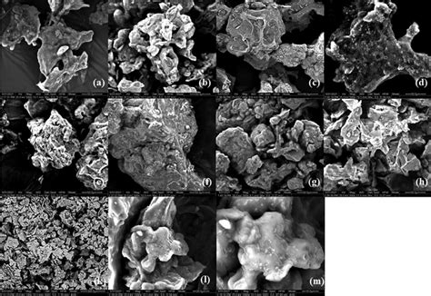 Image result for Sem Structure