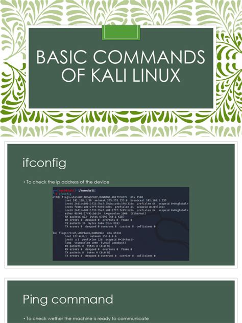 Basic Commands 的图像结果