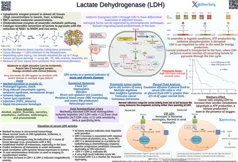 Lactate Dehydrogenase. - Medical Infographics