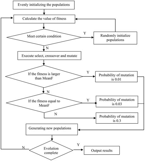 Algorithm Process 的图像结果