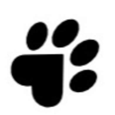 hundepsychologe | Wonderlink