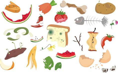 Food Waste Animation 的图像结果