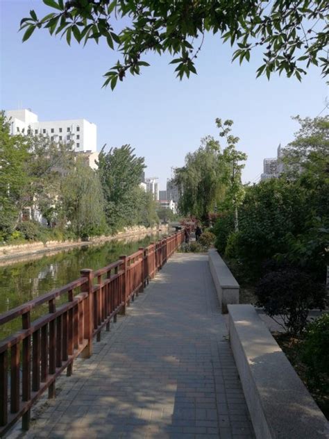 河道变脸 清水常驻 崇福镇持续推进美丽城镇建设“环境美”——浙江在线
