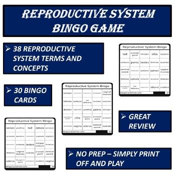 Image result for Male Reproductive System Interactive Game