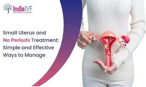 Small Uterus and No Periods Treatment: Simple and Effective Ways to ...