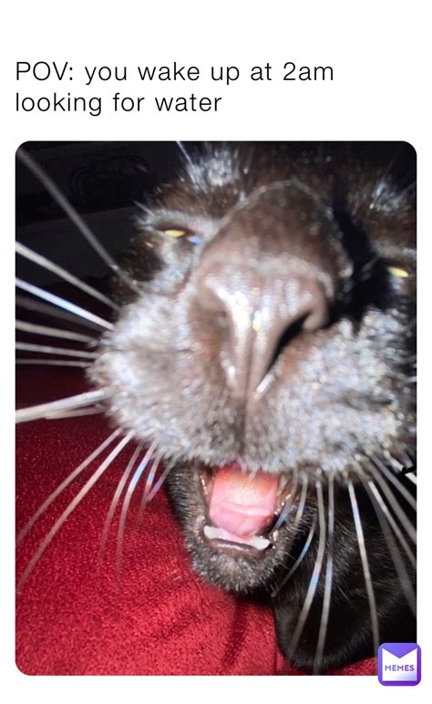 POV: you wake up at 2am looking for water | @MayhemDevil | Memes