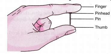 A man squeezes a pin between his thumb and finger, as shown in figure ...