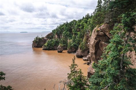 Best Things To Do In New Brunswick | Complete Travel Guide | Drink Tea ...