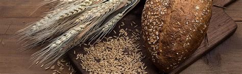 Sattvic Foods Himalayan Rye Grains (850 g) Sourced from Ladakh ...