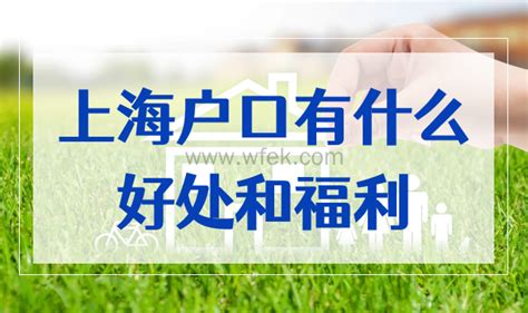 落户上海后悔了？上海户口有何优点？ - 文章专栏 - 模袋云