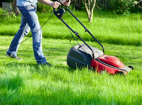 The 5 Best Electric Lawn Mowers for 2023 - LeafScore