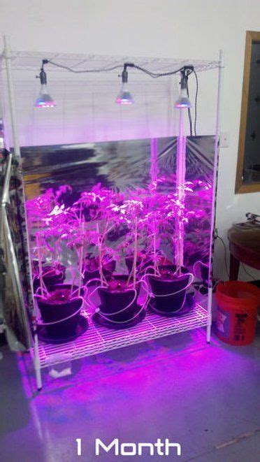 Image result for Automatic Plant Watering System Using Arduino