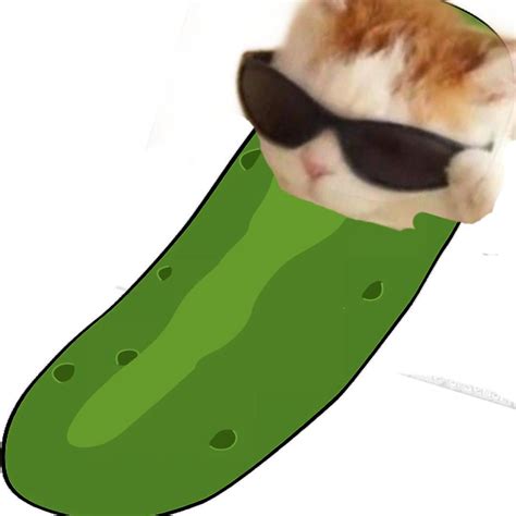 Image result for Pickle Script Kat