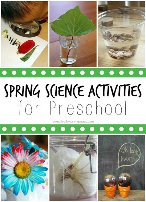 Image result for Spring Science Activities