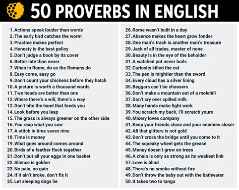 50 Common English Proverbs with Meanings and Examples