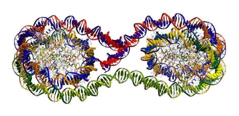 Chromatin art Photos - Download Free High-Quality Pictures | Freepik