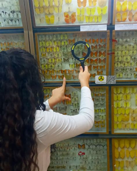 Brenda Jazmin (@brenda_jazminn1) • Instagram photos and videos