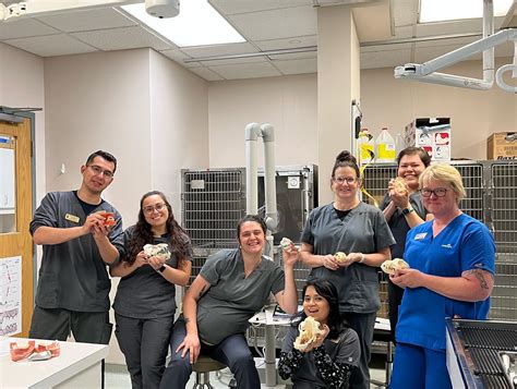 Chicago, IL Veterinarians | North Avenue Animal Hospital