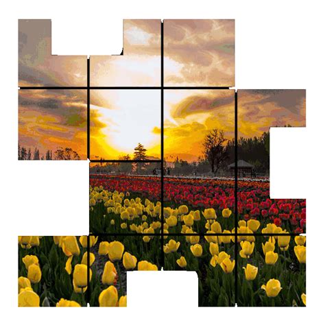 IAPSM 2025 - Srinagar