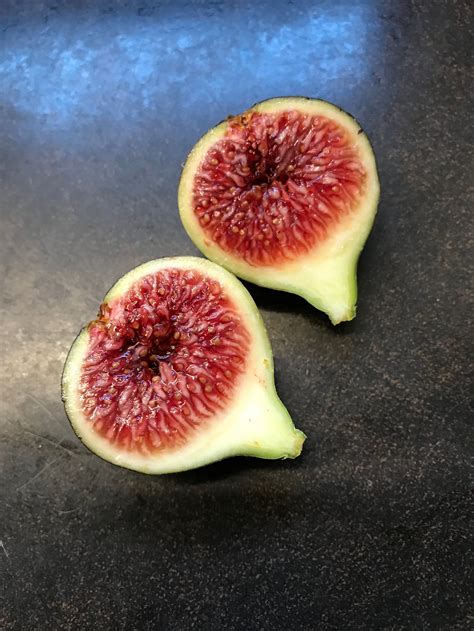 Black Madeira — french fig farm