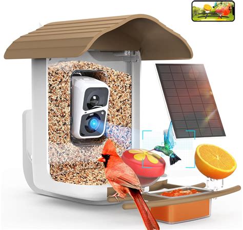 Amazon.com : birdsnap® PAV-Bird Feeder with Camera,2K HD with 64GB Card ...