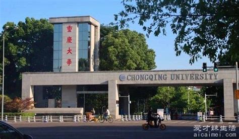 重庆大学设计图__企业LOGO标志_标志图标_设计图库_昵图网nipic.com