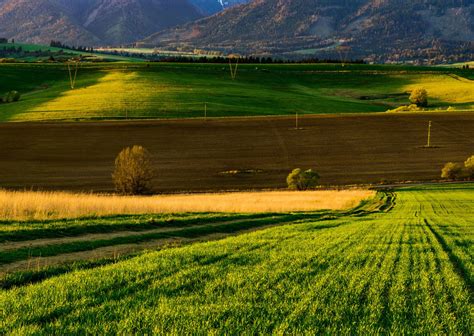Making soil fertile for cultivation, great, but how? | Fertilux